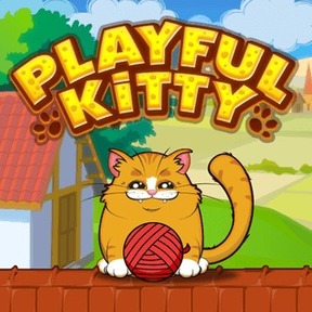 Playful Kitty Playful Kitty