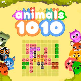 1010个动物
1010 Animals