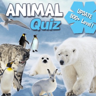 Animal Quiz cover artwork