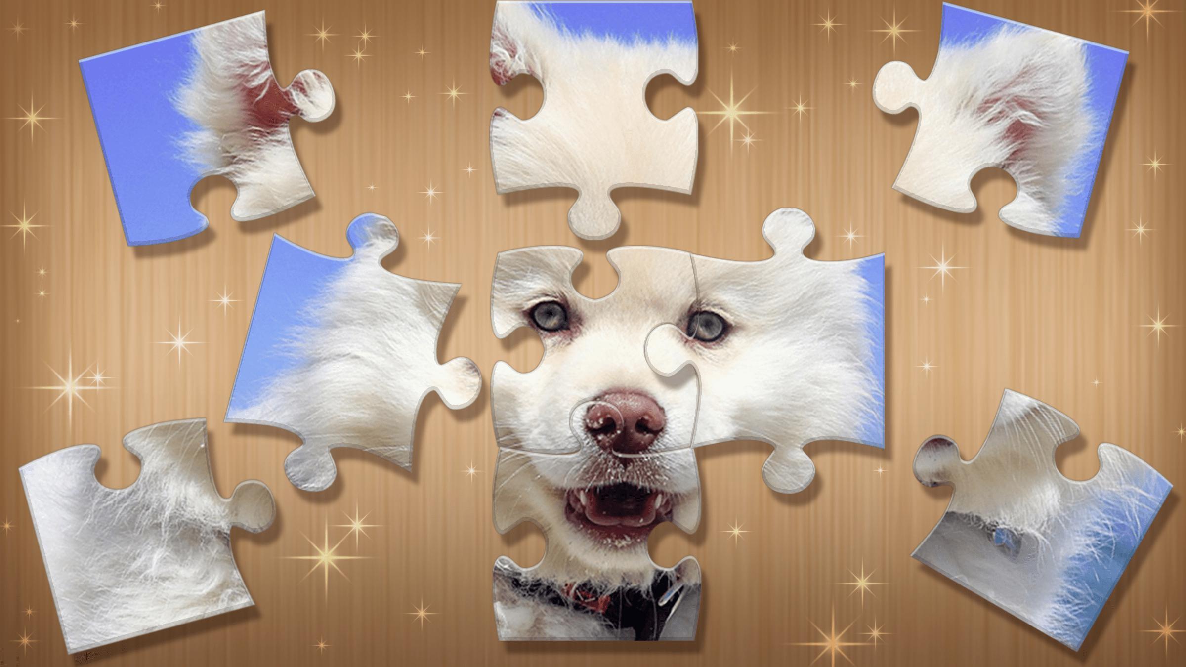 Jigsaw_Puzzle_Deluxe_Header.jpg