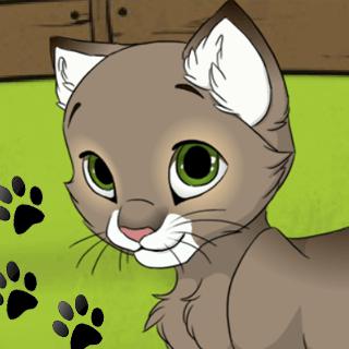 Игра My Kitten для девочек онлайн без скачивания