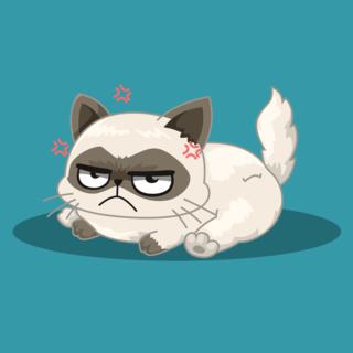 What Famous Cat Are You cover artwork