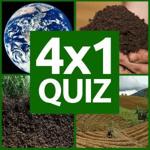 4x1 Picture Quiz cover artwork